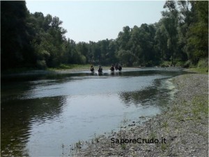 A cavallo sul fiume Oglio.